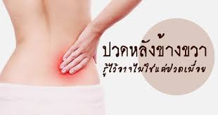 ปวดหลังข้างขาวจากนิ่ว สมุนไพรธนทรช่วยได้