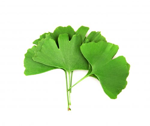 สมุนไพรช่วยเรื่องการนอนหลับ